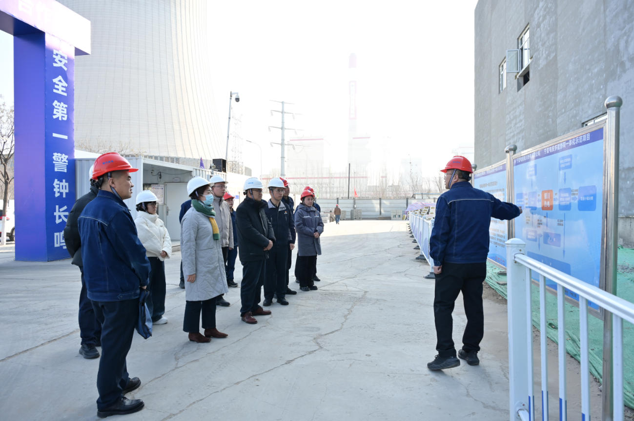 微信图片_2025-12-11_174902_379.png 吾爱白菜